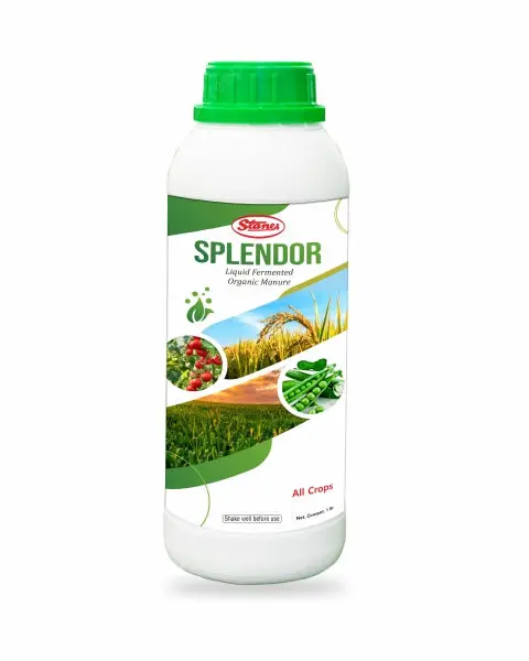 T.Stanes Splendor 1