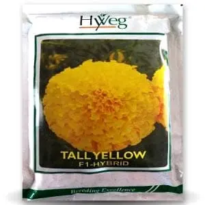 Tall Yellow Marigold 1