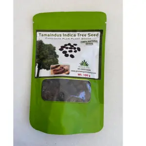 Tamarindus Tree Seeds 1