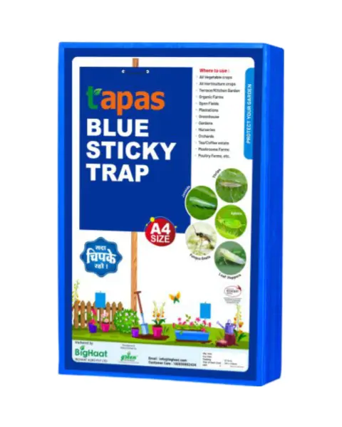 Blue Sticky Trap- A4 Size, Eco Sticky Trap For Insects (Thrips & Leaf Miner) Ipm Suitable | Tapas 1