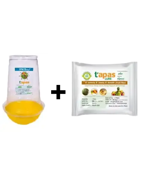 Tapas Fruit Fly Trap & Lure - Ipm Combo For Eco-Friendly Fruit Fly Control 1
