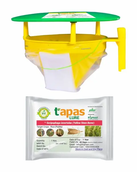 Funnel Trap With Yellow Stem Borer Lure Combo For Paddy & Sugarcane | Tapas 1