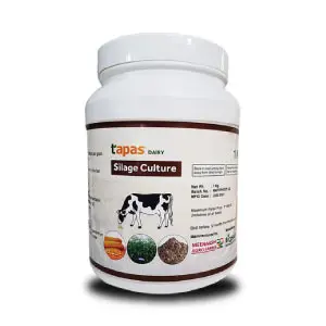 Tapas Silage Culture 1
