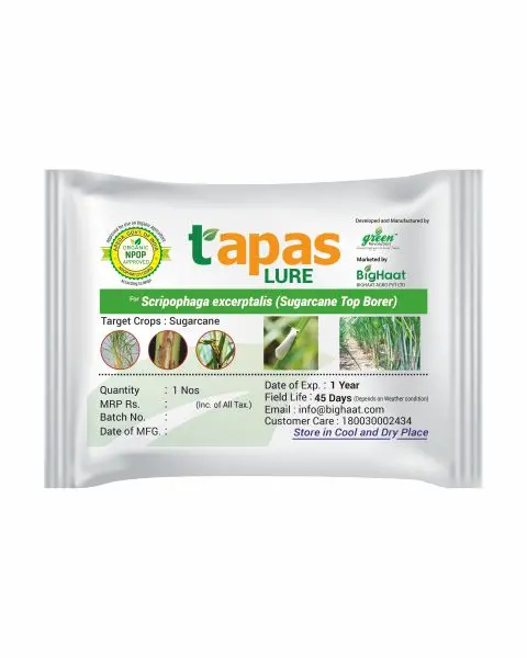 Sugarcane Top Borer Lure With Funnel Trap Combo For Paddy & Sugarcane (Ipm Suitable) | Tapas 1