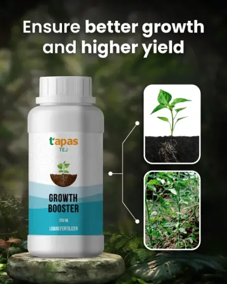 Tapas Tej Growth Booster: Seaweed Extract Biofertilizer For Healthy Crops & Higher Yield 1