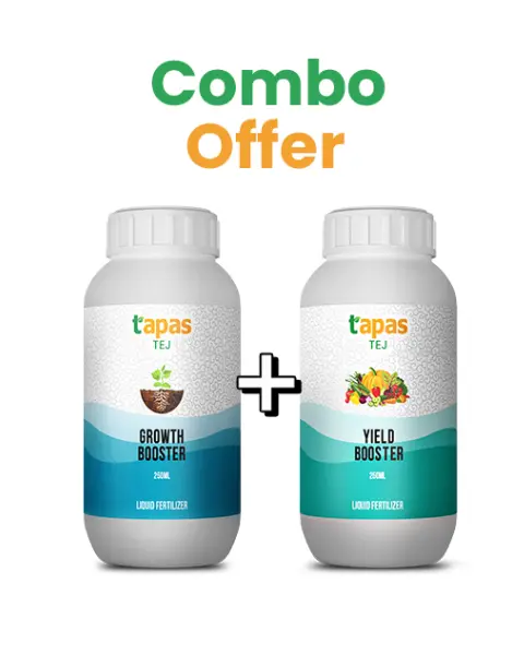 Tapas Tej Growth Booster + Tapas Tej Yield Booster Combo 1