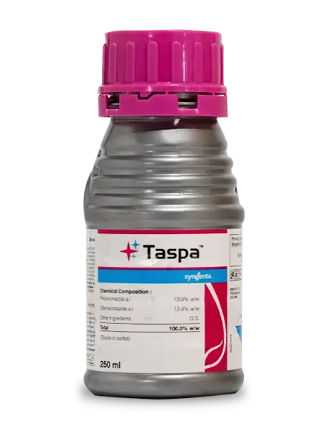 Taspa Fungicide 1