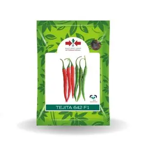 Tejita 642 Chilli East West F1 Hybrid- Dark Green, High Pungency, Tlcv Resistant 1