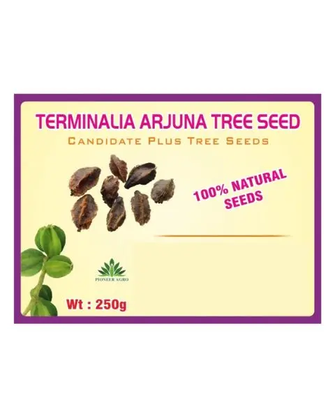 Terminalia Arjuna Tree Seeds 1