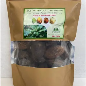 Pioneer Agro Terminalia Catappa (Indian Almond Tree Seed) 1
