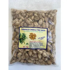 Terminalia Chebula Tree Seeds 1