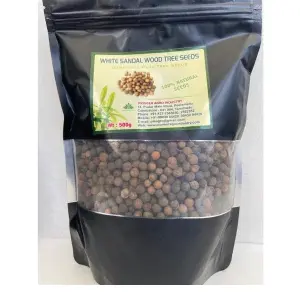 Pioneer Agro Tesposia Populina (Poovarasu Seed) 1