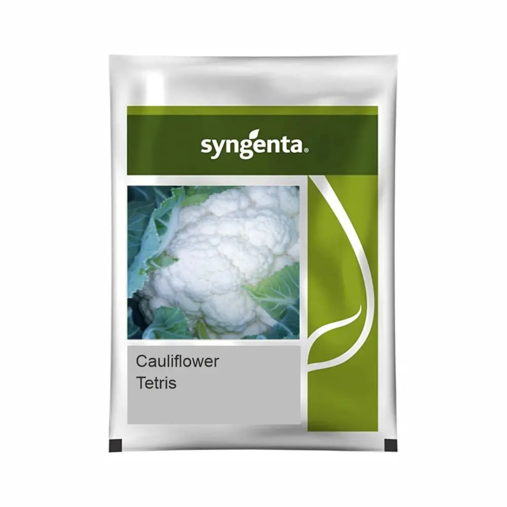 Syngenta Tetris Hybrid Cauliflower Seeds – Compact, Dome-Shaped White Curd 1