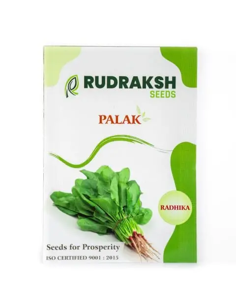 Rudraksh Spinach-Radhika(All Green)  - Spinach 1