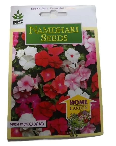 Vinca Pac Xp Mix Flower Seeds- Vibrant, Upright, Heat-Tolerant, Full Bloom 1