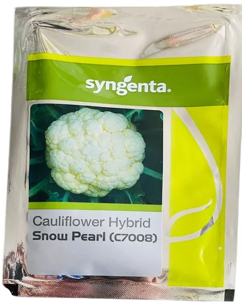 Snow Pearl (C-7008) - Cauliflower 1
