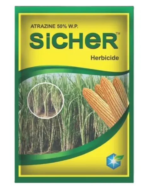 Sicher Herbicide (Atrazine 50% Wp) – Effective Weed Control For Maize, Sugarcane & Other Crops 1