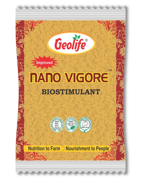 Geolife Nano Vigore - Biostimulant 1