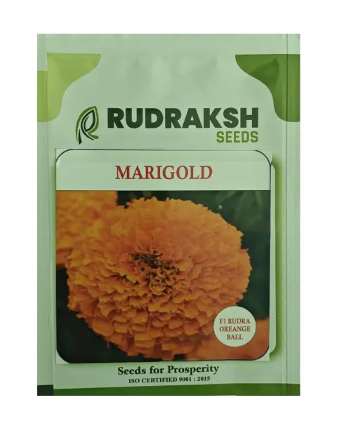 Rudraksh F1 Rudra Orange Ball Marigold- Tall Plant, Orange Flowers 1