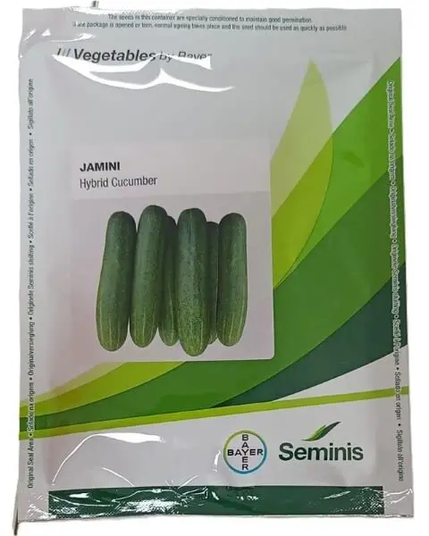 Seminis Jamini Hybrid Cucumber- Dark Green, 18-22Cm, Early Harvest 1