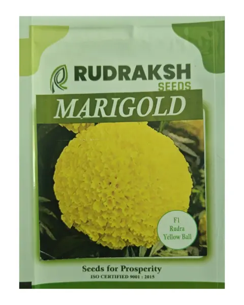 Rudraksh F1 Rudra Yellow Ball Marigold- Tall Plant, Vibrant Yellow Flowers 1
