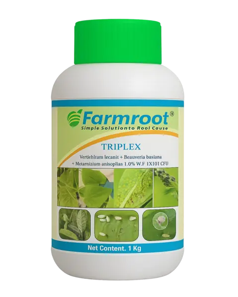 Farmroot Farm Triplex 1