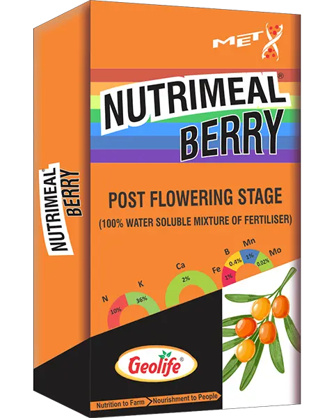 Geolife Nutrimeal Berry - Fertilizer 1