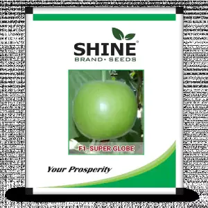 Super Globe Tinda Seeds 1