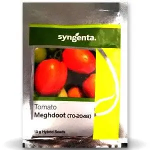 To-2048 Tomato Seeds - High Yield, Firm, Disease-Tolerant 1