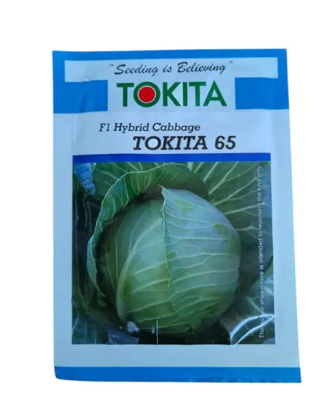 Tokita 65 F1 Cabbage 1