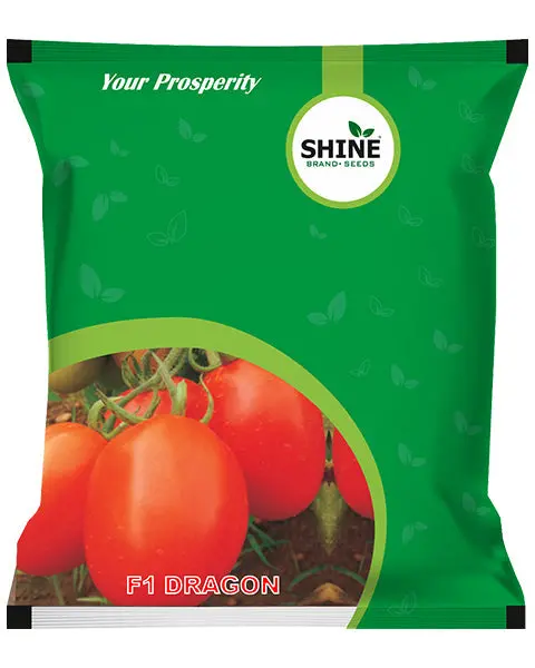 Shine Tomato Dragon F1 Seeds - Oblong, 90-120G, Virus & Heat Tolerant 1