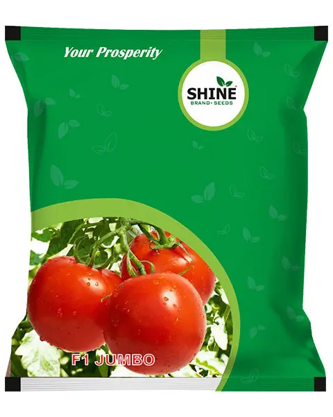 Shine Tomato Jumbo F1 Hybrid Seeds 1