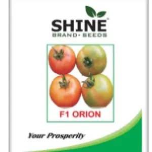 Shine Orion F1 Hybrid Tomato Seeds 1