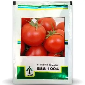 Bss 1004 Tomato ( बीएसएस 1004 टमाटर ) 1