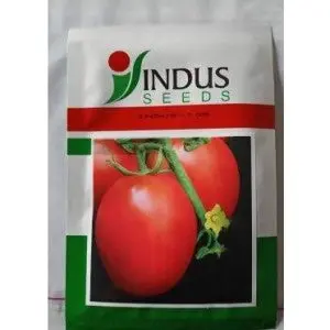Indus Tomato 106 F1 Hybrid Seeds 1
