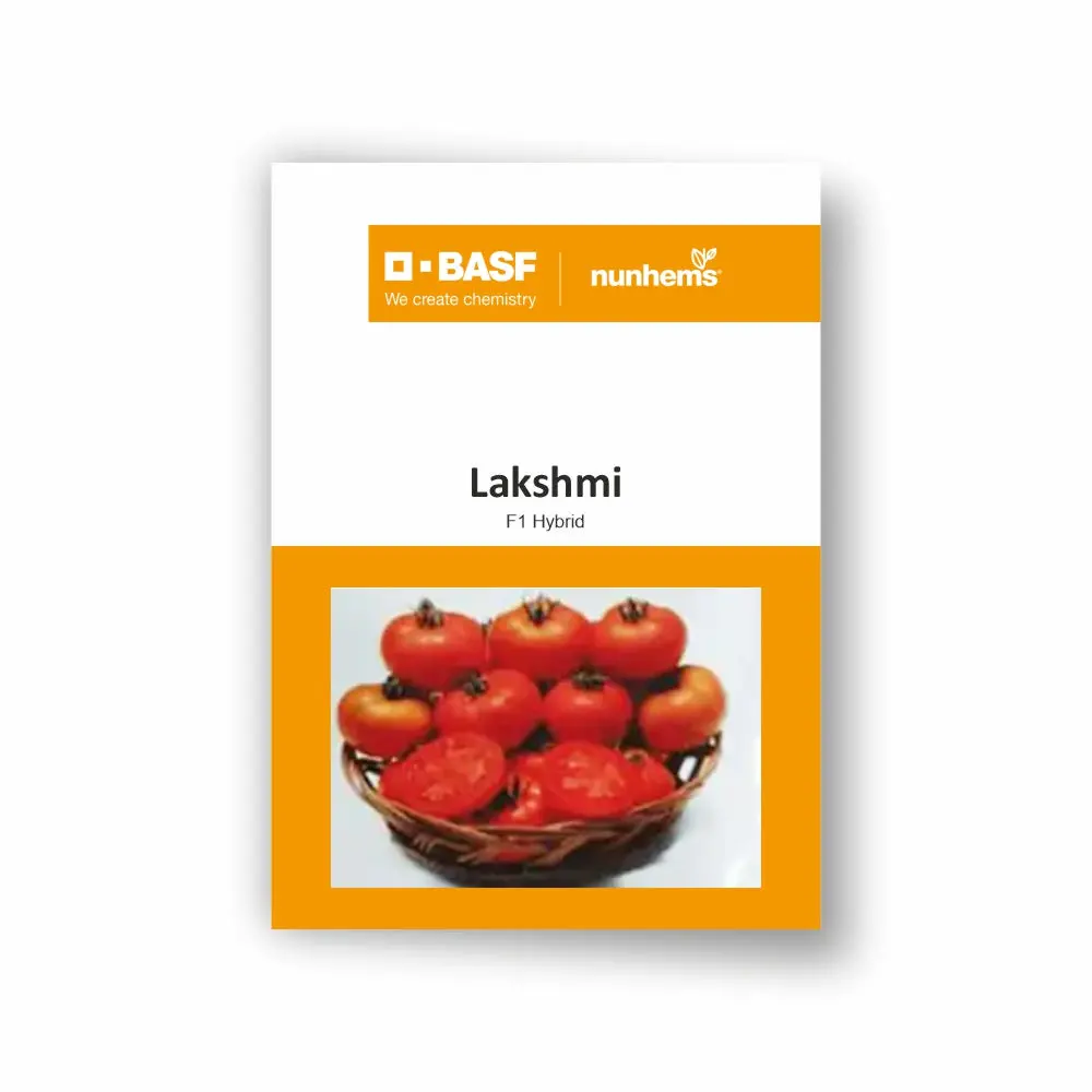 Nunhems Lakshmi Tomato Seeds – Red, Round Fruits For Kharif & Rabi 1