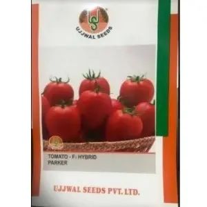 Ujjwal Parker Tomato Seeds 1