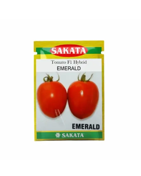 Emerald Tomato ( एमराल्ड टमाटर ) 1