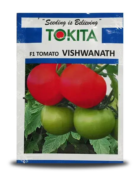 Tokita Vishwanath Tomato 1