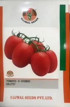 Ujjwal Tomato Us 2727 F1 Hybrid Seeds 1