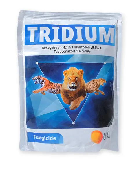 Tridium Fungicide 1