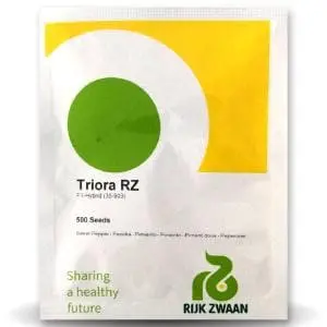 Triora Rz F1 (35-903) Orange Capsicum 1