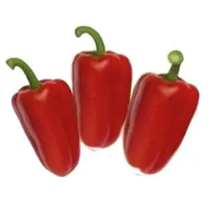 Trirosso Rz F1 (35-901) Red Capsicum 1
