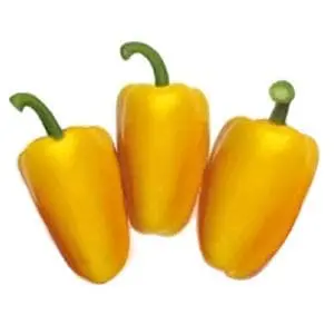 Triyello Rz F1 (35-902) Yellow Capsicum 1