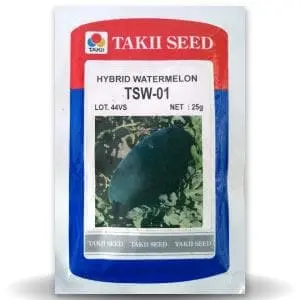 Tsw - 01 Watermelon F1 1