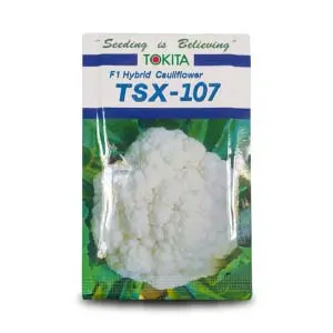 Tsx-107 F1 Hybrid Cauliflower 1