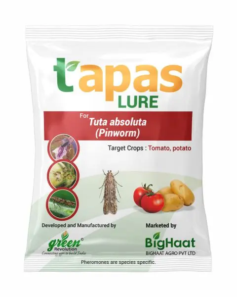 Pinworm Tu-Tom Pheromone Lure For Tuta Absoluta In Tomato & Potato (Ipm Suitable) | Tapas 1