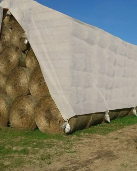Tuffpaulin 12.19 M X 12.19 M (40Ft X 40Ft) 150 Gsm Transparent Hay Covers Heavy Duty Tarpaulin-Tirpal 1