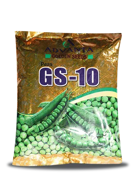 Advanta Gs- 10 Pea Seeds 1