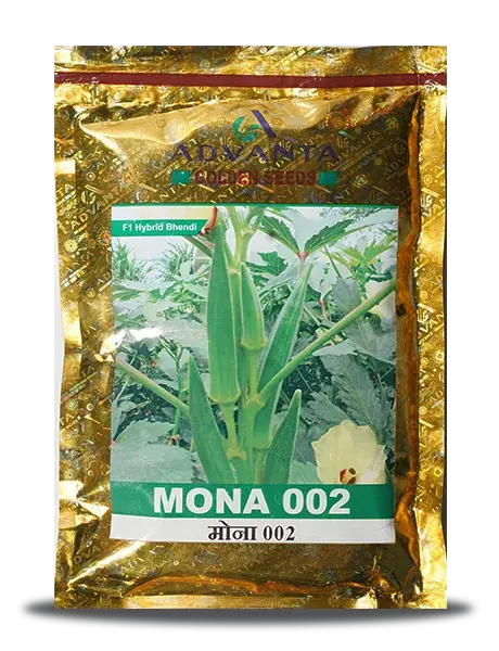 Mona  002 Bhendi ( मोना भिंडी ) 1